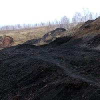Уголь «на рывок»