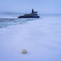 Атомный ледокол «Арктика» достиг Северного полюса