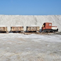 Сезон сбора урожая начался на соляных приисках Крыма