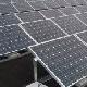 «Занято!»: солнечные панели сгоняют фермеров США с земли