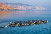 В Словении создадут крупнейшую в Европе плавучую солнечную станцию